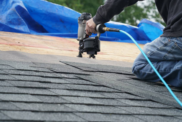 Best Roof Gutter Cleaning  in St Bonaventure, NY
